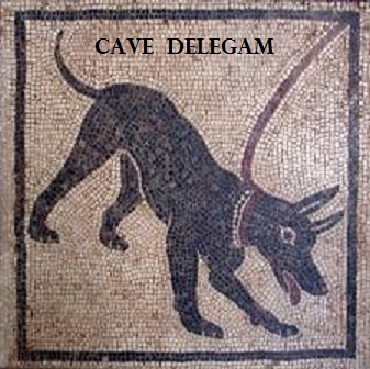 cave delegam